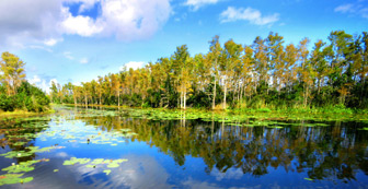 Environmental Photo
